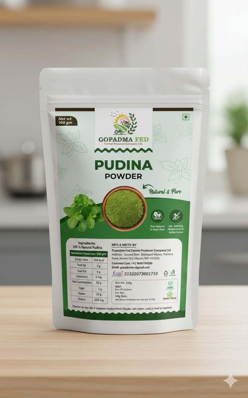 Pudina Powder